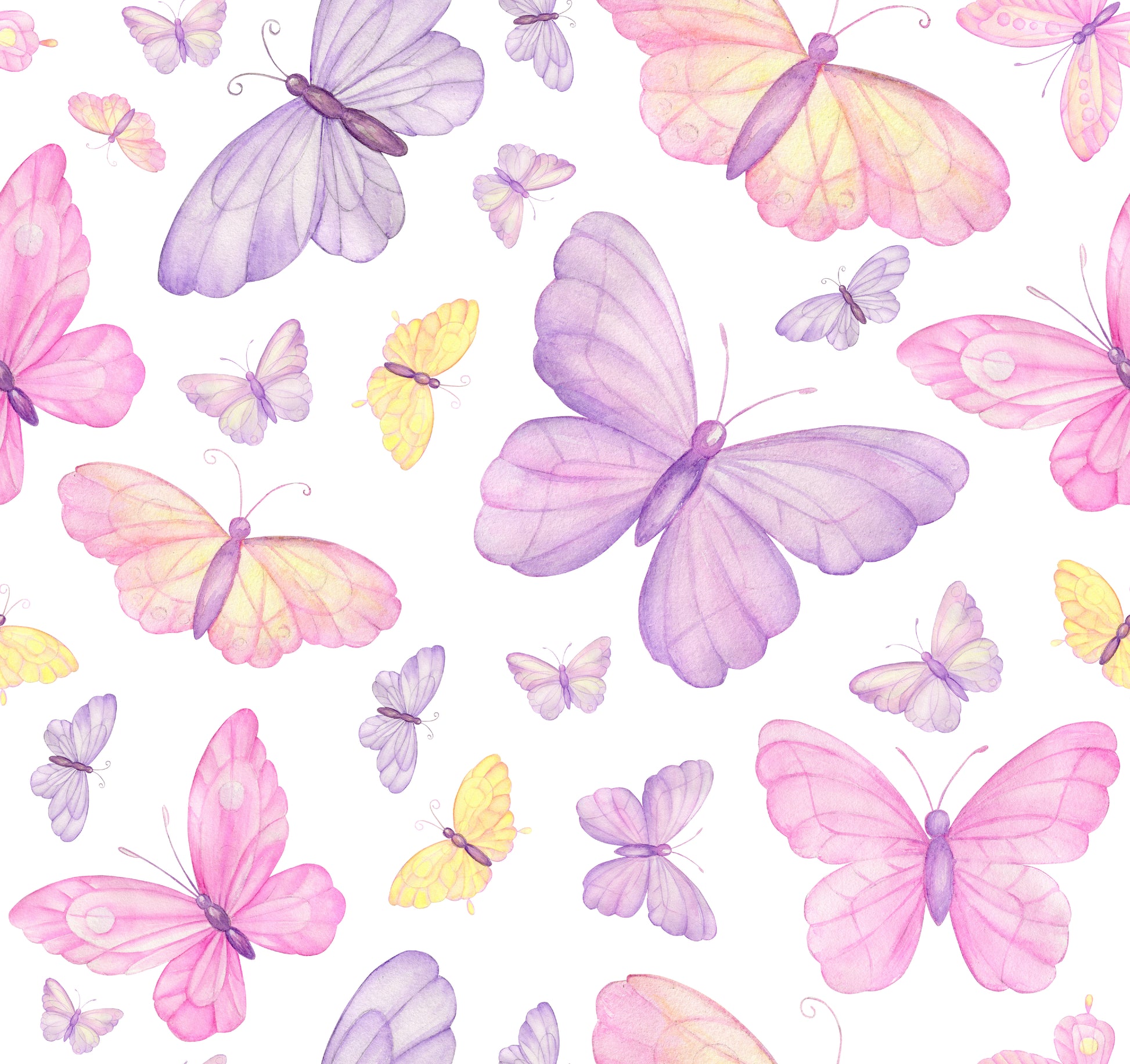 Pattern of colorful butterflies on a white background